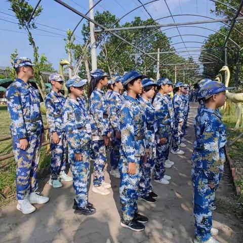 且抒凌云志，不负少年时——湛江市第二中学霞山校区七9班社会实践