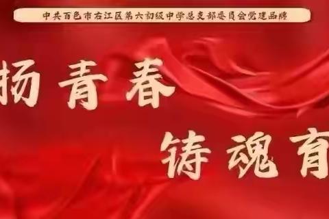 强化思想淬炼，筑牢信仰之基 ——右江区第六初级中学党支部开展主题党日活动