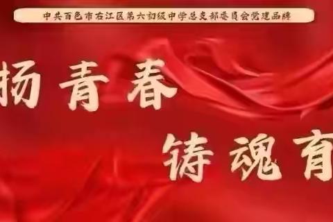 校园新貌迎开学，党员先锋作表率——右江区第六初级中学党总支部开展主题党日活动