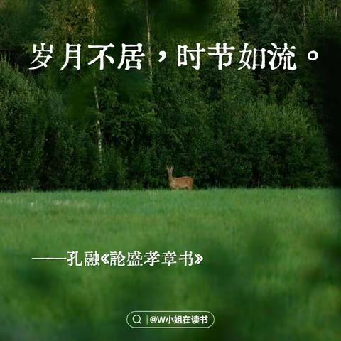 (❁´◡`❁)*✲ﾟ*行而不辍  未来可期