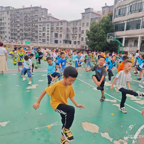 小豌豆们成长记录（三）