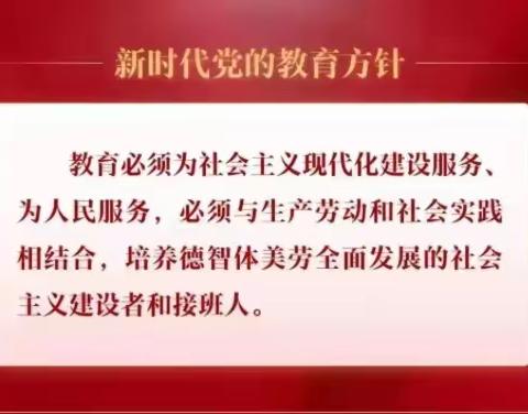 执青春之笔，泼墨书写社会实践之华章（三）