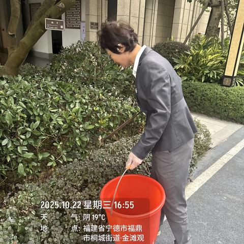 观海物业管家每周三“清道夫行动”：用脚步丈量整洁，用行动守护家园