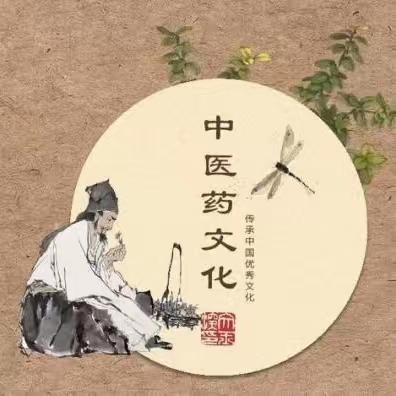 悠悠草药香，脉脉育人情——店子务中心小学中医药文化进校园活动