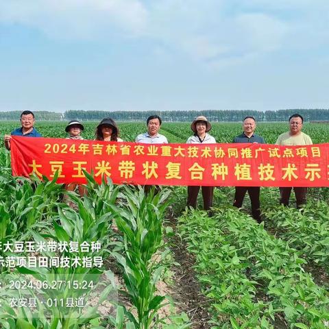 2024年吉林省农业重大技术协同推广项目——“大豆病虫草害绿色防控技术示范与推广”项目田间技术指导工作在前郭县顺利开展