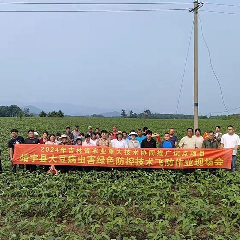 2024年吉林省农业重大技术协同推广项目——“大豆病虫草害绿色防控技术示范与推广”项目田间技术指导活动在靖宇县顺利开展