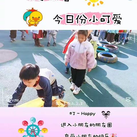 红苹果幼儿园蕾蕾一班一周精彩回顾