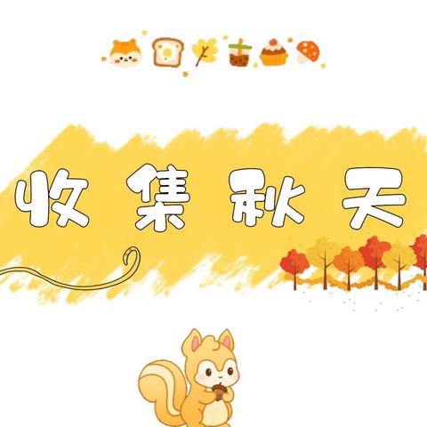 小太阳花班🌻十月份第四周周展示【下】