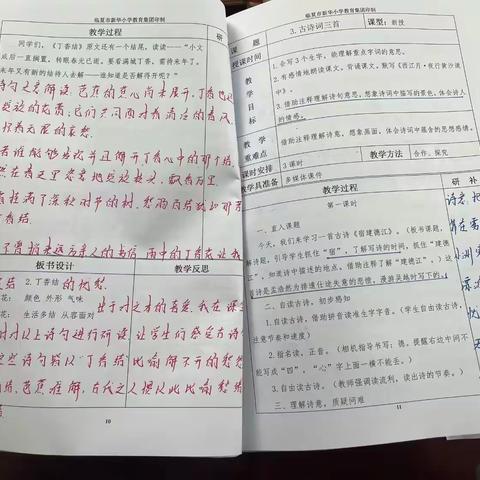 教案作业细检查  落实“双减”促常规 ——新华小学教育集团阶段性教案、作业检查