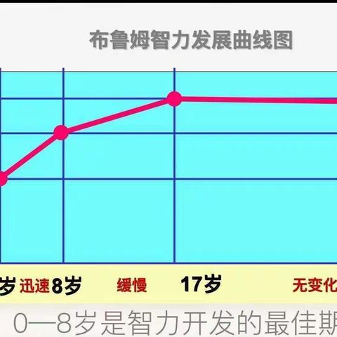 星洲湾幼儿园科林三班思维游戏汇报