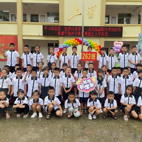 【龙州县龙州镇朝阳小学263班】“良好习惯，伴我成长”——一年级入学第一周常规训练养成记。