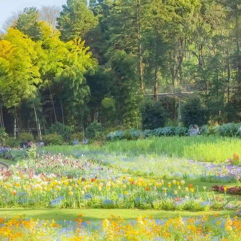 那年   那月   那季节