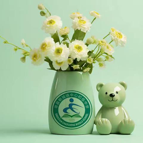 【全环境立德树人】“活力假期，运动相伴”——莘县朝城镇中心初级中学2025年寒假体育锻炼计划