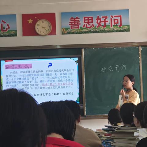 上好思政课，做好引路人——记紫溪中学文科组道德与法治公开课展示