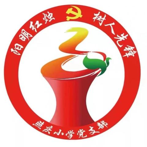 【深化能力作风建设】【照庆·少先队】