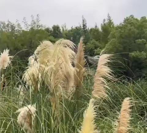 寻雷锋精神访雷锋传承馆 王梓谦