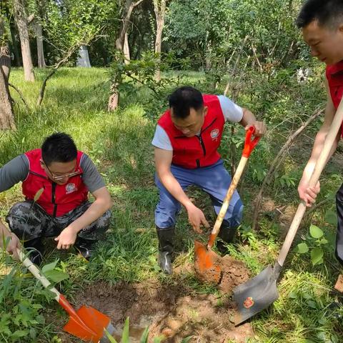 学党纪 创品牌 见行动：党员干部齐上阵 抢修管道解难题