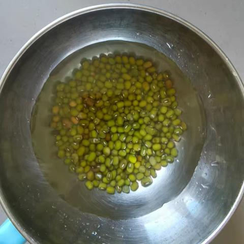绿豆芽成长记