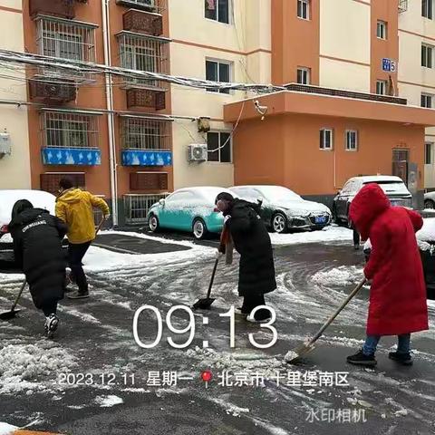 寒冬降初雪，扫雪除冰暖人心——晨光社区开展清雪铲冰行动