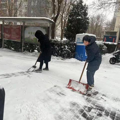 不畏严寒，浴“雪”奋战——晨光社区联合多方应对暴雪天气