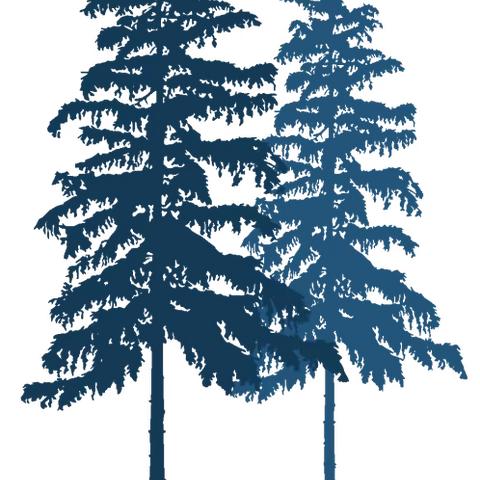 【卫生保健】无烟佳节 与爱同行——南阳市第一实验幼儿园禁烟控烟主题教育活动