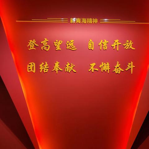 青海省分行离退休干部各党支部开展“庆七一、学思想、强纪律、建新功”党建系列活动