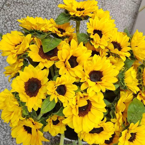 浓情五月、感恩母亲