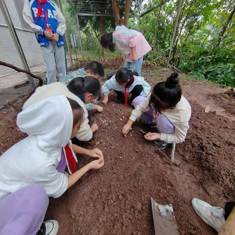 亲手种植.快乐分享