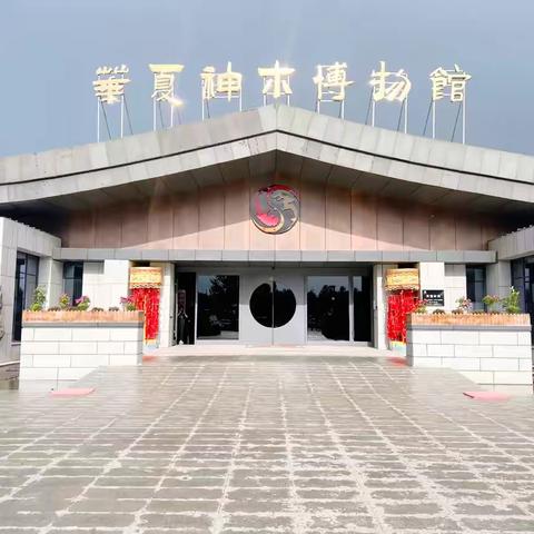 娴静而愉悦的简篇