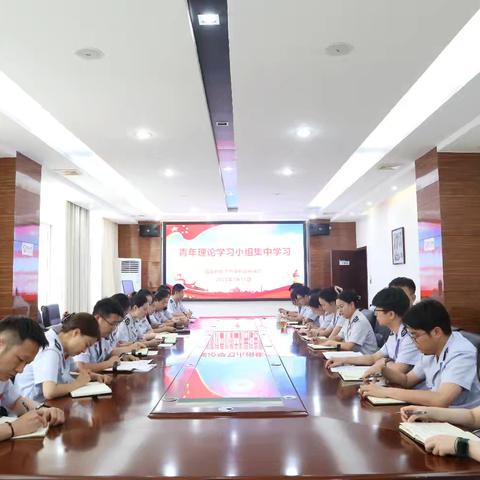 学思践悟守廉韵 青年税心向新程——平利县税务局青年理论学习小组开展集中学习
