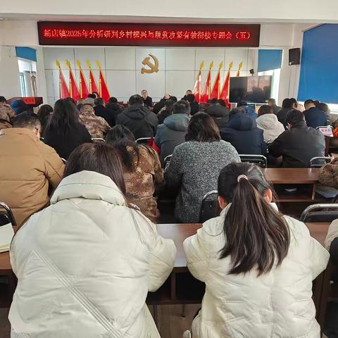 新店镇3月3日工作动态