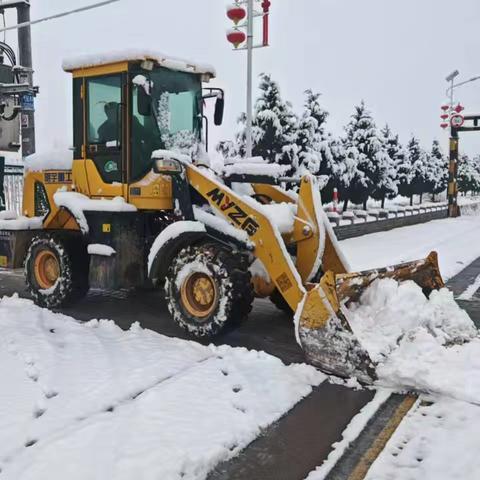 新店镇3月2日工作动态