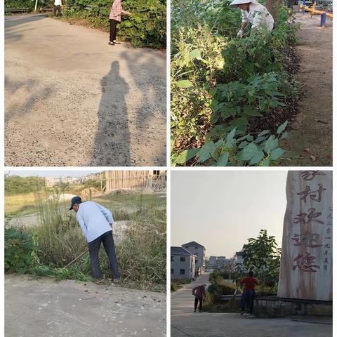 双港镇人居环境整治暨新农村建设工作周报（第三十二期）