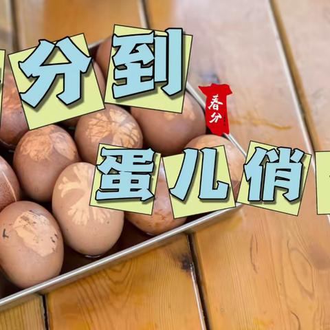 四月人间 不负春光——陶幼大四班