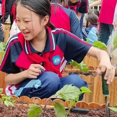 【党建+队建】吹响新时代号角，放飞少年的梦想——记上饶市实验小学“新时代好少年”郑妮可