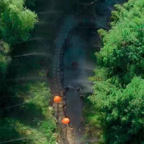 百谷托管/每日乐托管·带你走进彩虹谷🌈【跟着八路打鬼子】研学实践活动