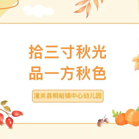 【精致教育】拾三寸秋光，品一方秋色———潼关县桐峪镇中心幼儿园中班班本课程