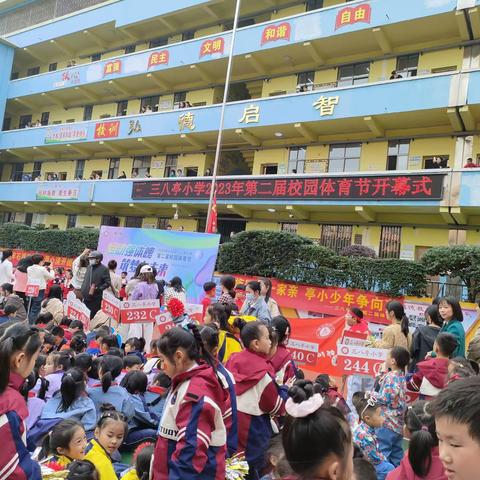 三八亭小学2023年第二届校园体育节之240班篇