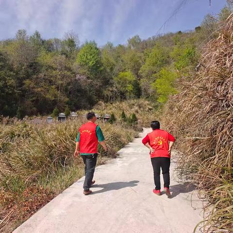 清明节森林防火巡查
