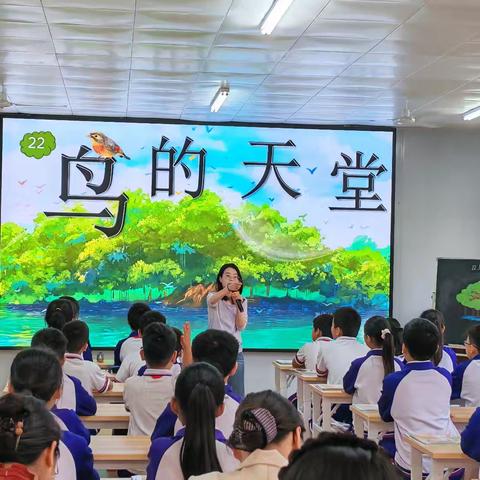 深耕语文课堂，品味“鸟的天堂”之美——《鸟的天堂》