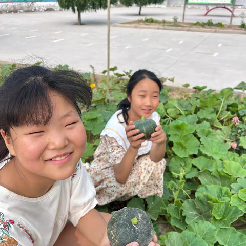 劳动基地结硕果，以劳育德迎丰收 ——卫贤镇侯香菜中心校劳动实践活动