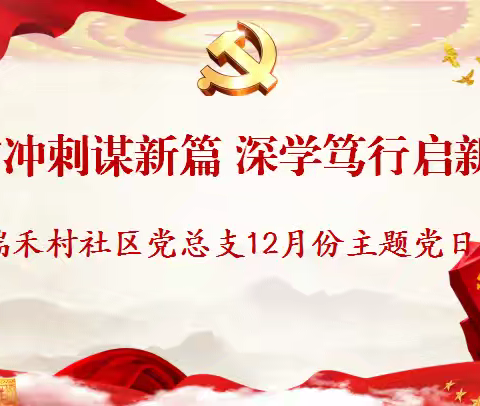 收官冲刺谋新篇，深学笃行启新程 —瑞禾村社区党总支组织开展十二月主题党日活动