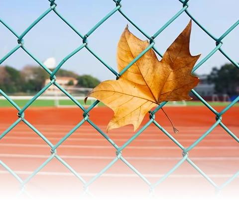 和孚养老｜七东社区日间照料中心 “‘耆’聚一堂 欢乐共享”老年趣味运动会