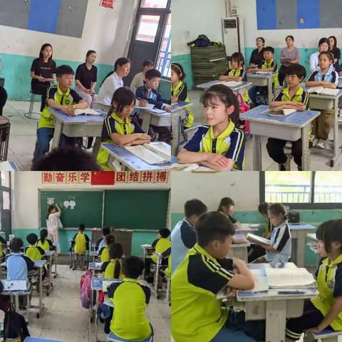 聚焦质量明方向，蓄力深耕启新程——西扶仁小学语文教研活动（七）