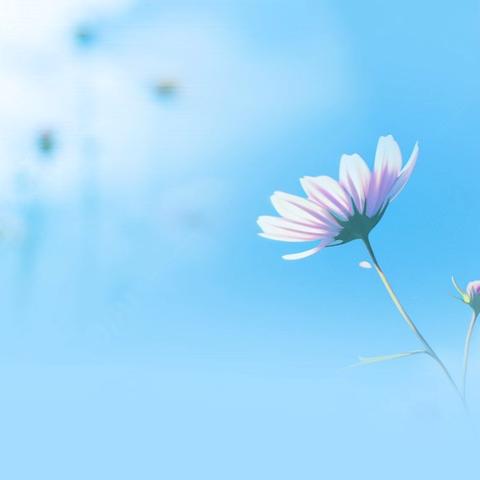 “青春砺锋芒,少年展英姿” ——富裕县第二中学军体拳汇报展演活动纪实