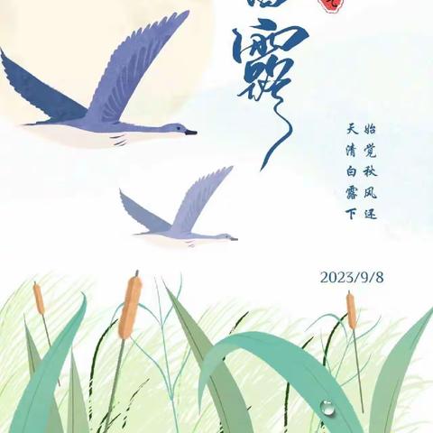 秋🍂风至，白露生——二十四节气之“白露”主题活动【东城区童心幼儿园宝宝班】