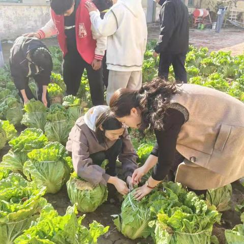 探索伴成长，科学启未来—北留智镇中学开展科学实践进校园活动