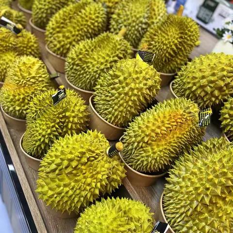 【馋果大王】会员充值1000送1个A果榴莲！充值500仅9.9元/斤！