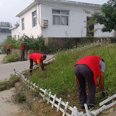 “双争”进行时，田家沟清洁环境建设美好家园