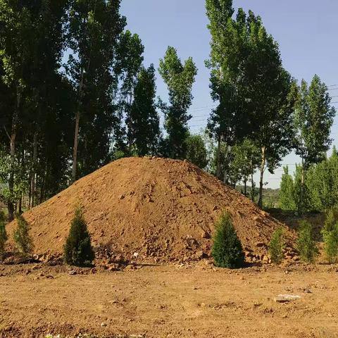 千古忠良杜乔墓得以恢复